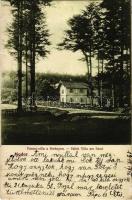 1917 Modor, Modra; Városi villa a fövényen. May Samu kiadása / villa (felületi sérülés / surface damage)