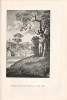 [Szentkuty] Drescher Pál:
A rézmetszettel díszített könyv. A Magyar Bibliophil Társaság nyolcadik k...