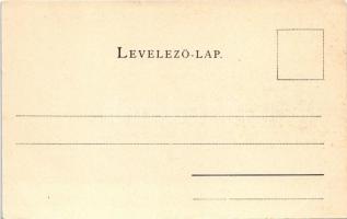 1901 Badacsony. Schmidt Edgar kiadása (apró szakadás / tiny tear)