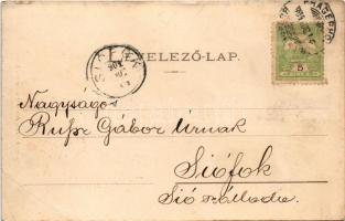 1904 Balatonszemes, Szemes; Part részlet, nyaralók, villák. Balázsovics Gyula fényképész, Art Nouvea...