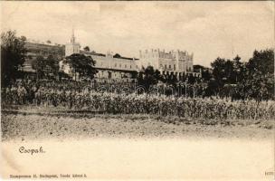 Csopak, Ranolder kastély, szőlő. Kampmann H. kiadása (EK)