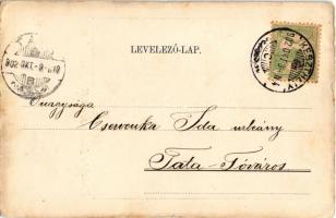 1902 Balaton, Üdvözlet a Balaton partjáról. Vasvári József kiadása Keszthelyen (kis szakadások / sma...