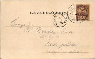 1901 Siófok, Sió-öböl, gőzhajó. Hirsch Mór kiadása. Weiss L. és F. könyvnyomdája (b)