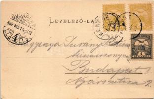 1902 Balatonkenese, Kenese; Fürdőtelep látképe. Pósa Endre kiadása (EK)