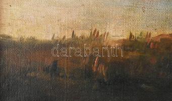 Jelzés nélkül (Gerstenberger Mátyás?), XX. sz. első fele: Vízparti táj (Dunapart?). Olaj, vászon. De...