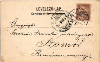 1901 Fiume, Rijeka; Hotel Europe. P. H. Günther's Nachf. / szálloda / hotel (EB)