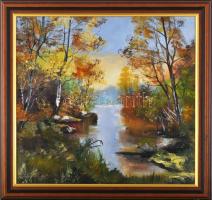 Papp Tünde (1978-): Vidám ősz. Olaj, farost, jelzett, fakeretben, 36,5×39 cm