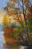 Papp Tünde (1978-): Vidám ősz. Olaj, farost, jelzett, fakeretben, 36,5×39 cm