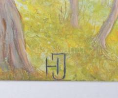 Horváth József (?-): Séta a város felett. Olaj, farost, jelzett, fakeretben, 33×48 cm