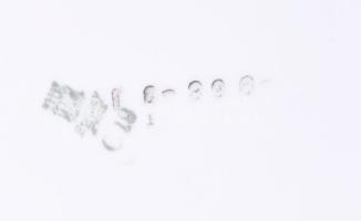 Zsolnay retro virág mintás étkészlet, hat személyes, matricás, jelzett, hibátlan