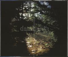 Mortensen, Viggo: Mo te upoko-o-te-ika / For Wellington. DEDIKÁLT! 2006, Perceval Press. Kiadói kart...