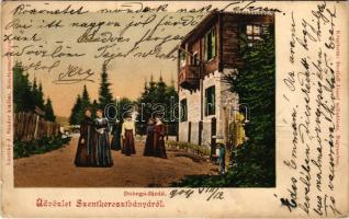1904 Szentkeresztbánya, Újvlahica, Mina Sfanta Cruce, Vlahica, Vlahita Noua, Minele Lueta (Szentegyháza, Vlahita); Dobogó fürdő. Lántzky J. Sándor kiadása, Drotleff József műintézete felvétele / spa, bathhouse (r)