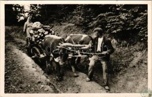 Kárpátalja, Fahordás ökrös szekérrel. Dr. Peitler Gyula felvétele / Transcarpathian folklore, wood transport with ox cart (fl)