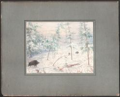 Jelzés nélkül: Vaddisznók. Akvarell, papír, kartonra kasírozva. 13×17 cm