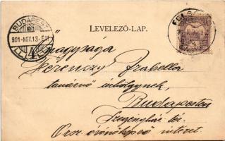 1901 Priszlop-hegység, Prislop (Máramaros, Maramures); részlet a Priszlop-hegységről. Kaufmann Ábrah...