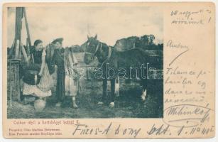 1900 Hortobágy, csikós idill a hortobágyi kútnál, magyar folklór. Pongrácz Géza kiadása. Kiss Ferenc eredeti fényképe után + " KASSA - BUDAPEST 10. SZ." vasúti mozgóposta bélyegző (ázott / wet damage)