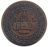 1978. "Budapest Főváros V. ker. Tanácsa - Belvárosért végzett társadalmi munkáért" egyoldalas, öntött bronz plakett. Hátoldalán fali akasztóval, dátummal és névre szóló gravírozással (~191-192mm) T:AU