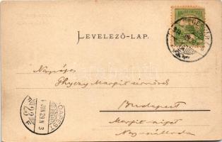 1904 Segesvár, Schässburg, Sighisoara; Alberthaus (Knabeninternat), Stundturm / Albert-ház fiúintern...