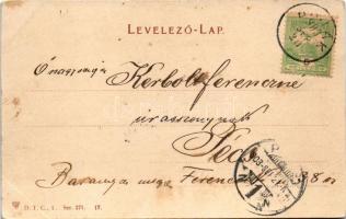 1903 Debrecen, Debreczeni cívis polgár hetes fogata, magyar folklór