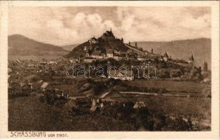 Segesvár, Schässburg, Sighisoara; látkép. H. Zeidner kiadása / general view