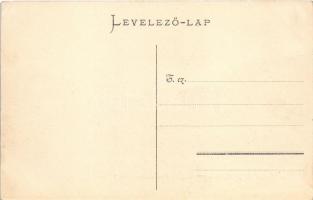 1905 Segesvár, Schässburg, Sighisoara; látkép. W. Nagy kiadása / general view (EK)