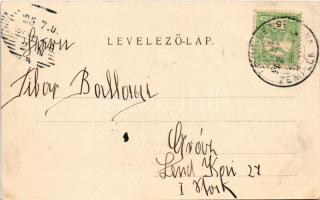 1902 Erdőbénye, fürdő. Szabó fivérek kiadása