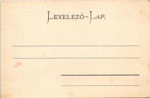 Oravicabánya, Oravica, Oravicza, Oravita; részlet a kis tóról, csónakázó társaság és hattyúk. Weisz ...