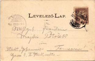 1901 Resicabánya, Resicza, Recita, Resita; Directions-Park / Igazgatósági park. Ifj. Neff Károly kia...