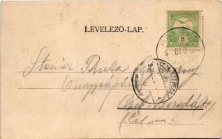 1902 Segesvár, Schässburg, Sighisoara; Piactér, F. Lingner üzlete. Vándory kiadása / market square, ...