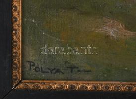 Pólya T jelzéssel: Vásár. Olaj, vászon. Javított. Fakeretben. 40,5×30,5 cm