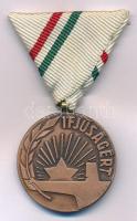 1980 k. "Ifjúságért" bronz érdemérem mellszalagon T:AU