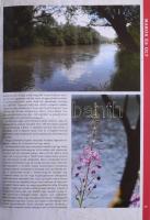 Darics-Sára-Tulics: Erdély Száz csodája. Bp., Totem. Kiadói kartonált kötés, papír védőborítóval, jó...