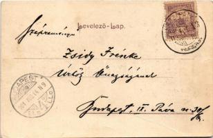 1901 Temesvár, Timisoara; Gyárváros, Coronini tér, Andrássy kávéház. Polatsek-féle könyvkereskedés k...