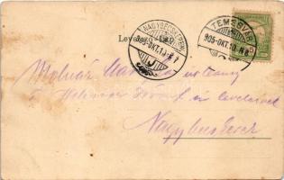 1905 Temesvár, Timisoara; Jenő herceg tér, Rukavina emlékmű / square, monument (EM)