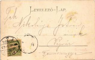 1904 Temesvár, Timisoara; Városligeti részlet. Mangold kiadása / park (szakadás / tear)