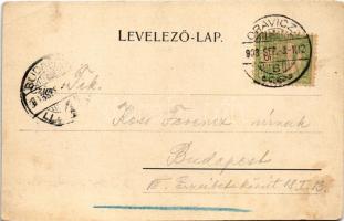 1903 Oravicabánya, Oravica, Oravicza, Oravita; A Nagy-tó Bánya-völgy mellett. Gross Gyula kiadása / ...