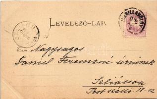 1898 Oravicabánya, Oravica, Oravicza, Oravita; Waldhaus am Lupp / erdészlak. C. Kehrer kiadása / for...