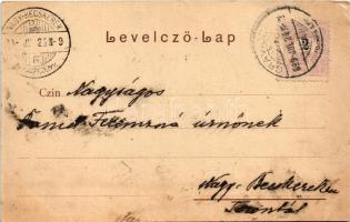 1899 Oravicabánya, Oravica, Oravicza, Oravita; Nagy tó / Partie vom grossen Teich. C. Kehrer / lake ...