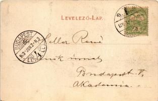 1903 Orsova, Vaskapu-szoros / Kanal beim Eisernen Tor / gorge (EK)