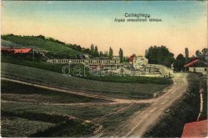 Budapest III. Csillaghegy, Árpád strandfürdő látképe. Hangya szövetkezet kiadása (EB)