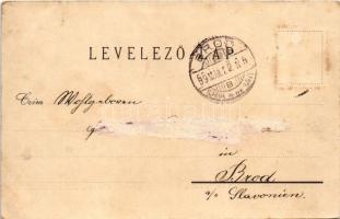 1899 Orsova; Vaskapu. Hutterer G. kiadása / Eisernes Thor / Iron Gate (Rb)