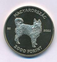 2022. 2000Ft Cu-Ni-Zn "Mudi" kapszulában T:P