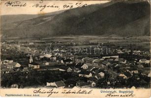 1903 Boksánbánya, Németbogsán, Deutsch-Bogsan, Bocsa Montana; látkép. Rosner Adolf kiadása / general view (fl)