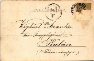 1903 Boksánbánya, Németbogsán, Deutsch-Bogsan, Bocsa Montana; látkép. Rosner Adolf kiadása / general...