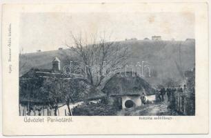 Pankota, Pancota; Bokréta szőlőhegy. Beamter Ödön kiadása / vineyard (fl)