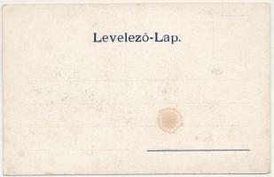 Pankota, Pancota; Bokréta szőlőhegy. Beamter Ödön kiadása / vineyard (fl)