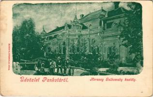 Pankota, Pancota; Herceg Sulkowsky kastély. Bloch H. kiadása / castle (EK)