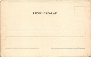 Pankota, Pancota; Herceg Sulkowsky kastély. Bloch H. kiadása / castle (EK)