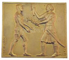 1932. "Balatoni Versenyek - Országos Testnevelési Tanács" bronz sport emlékplakett. Szign.: Beck Ötvös Fülöp (1873-1945) (60x70mm) T:AU
