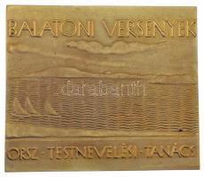 1932. "Balatoni Versenyek - Országos Testnevelési Tanács" bronz sport emlékplakett. Szign....